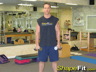 shoulder-exercises-side-lateral-raises
