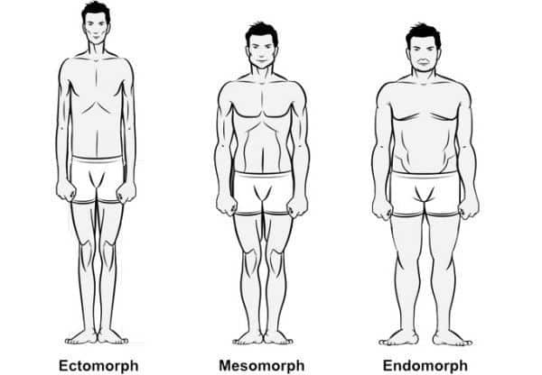 endomorfo