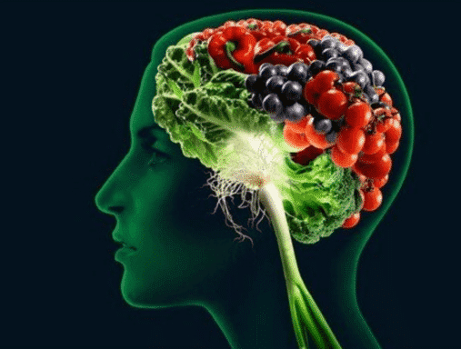 alimentos para el cerebro