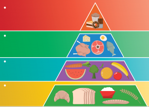 pirámides de nutrición y entrenamiento