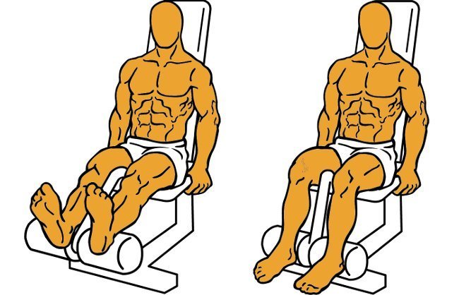 guia para principiantes li curl de piernas sentado en maquina file