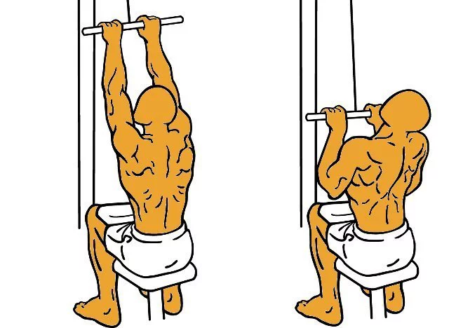 Polea al pecho: entrenamiento esencial para principiantes en el gimnasio 1 guia para principiantes xxxix polea al pecho file