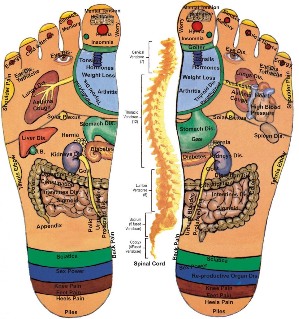reflexologia podal file