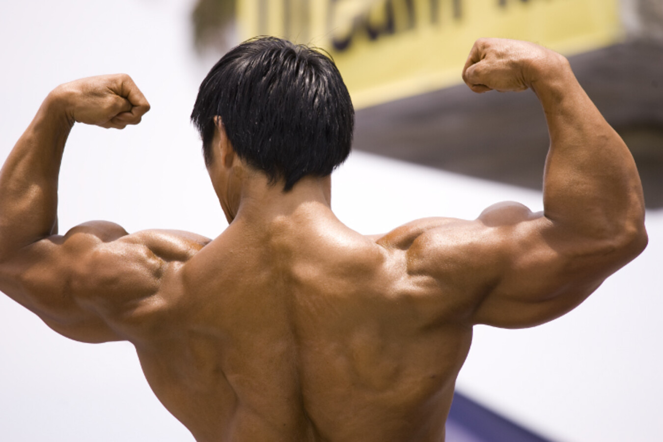 Seal row: el ejercicio clave para fortalecer tu espalda y ganar masa muscular 1 seal row ejercicio espalda que deberia estar primer puesto tu lista para ganar fuerza masa muscular 1 file